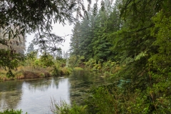 Neuseeland - Nordinsel - Hamurana Springs