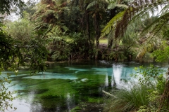 Neuseeland - Nordinsel - Hamurana Springs
