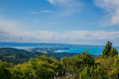 Neuseeland - Nordinsel - Ostküste - Mahia Halbinsel