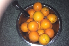 20170909-1956IMG_0088