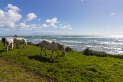 Neuseeland - Nordinsel - Ostküste - Eastcape