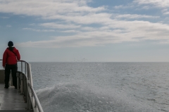 Neuseeland - Nordinsel - Ostküste - White Island