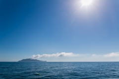 Neuseeland - Nordinsel - Ostküste - White Island