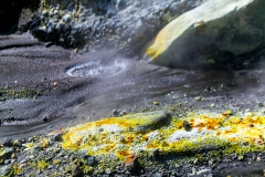 Neuseeland - Nordinsel - Ostküste - White Island