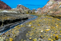 Neuseeland - Nordinsel - Ostküste - White Island