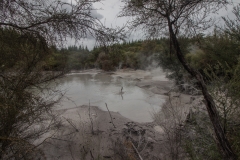 Neuseeland - Waiotapu Scenic Reserve