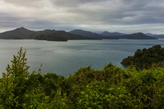 Neuseeland - Queen Charlotte Sound
