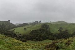 Neusseland - Wharariki Beach