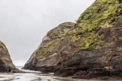 Neusseland - Wharariki Beach