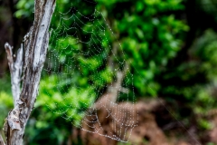 Neusseland - Wharariki Beach