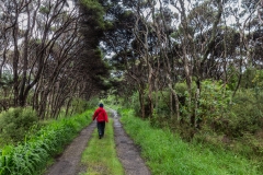 Neusseland - Farewell Spit