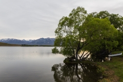 Neuseeland - Lake Alexandrina