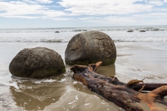 Neuseeland - Moeraki Boulders