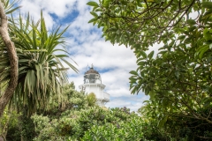 Neuseeland - Katiki point