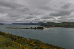 Neuseeland - Otago Peninsula