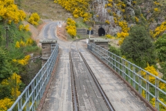 Neuseeland - Dunedin Railways - Taieri Gorge