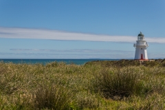 Neuseeland - Curio Bay