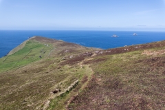 Irland - Dursey Island