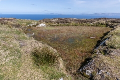 Irland - Dursey Island