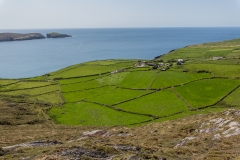 Irland - Dursey Island