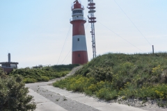 Borkum - elektrischer Leuchttum