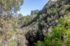 La Palma - Kulturpark La Zarza