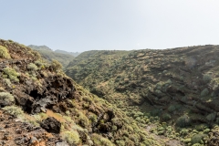 La Palma - Puerto de Sto. Domingo