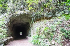 La Palma - Los Tilos