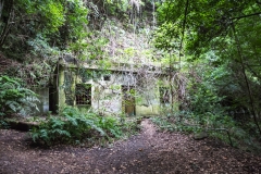 La Palma - Los Tilos