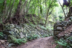 La Palma - Los Tilos