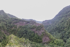 La Palma - Los Tilos