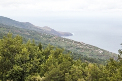 La Palma - Alte Landstraße im Norden