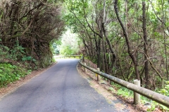 La Palma - Alte Landstraße im Norden