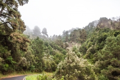 La Palma - Alte Landstraße im Norden