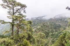 La Palma - Alte Landstraße im Norden