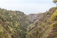 La Palma - Las Tricias