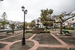 La Palma -  San Andrés y Sauces