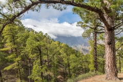 La Palma - Mirador de la Cumbrecita