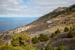 La Palma - Volcan San Antonio