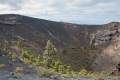 La Palma - Volcan San Antonio