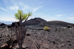 La Palma - Volcán Teneguía