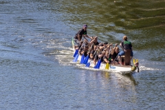 Lingen- Drachenbootregatta