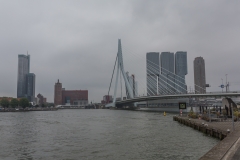 Rotterdam - Erasmusbrücke