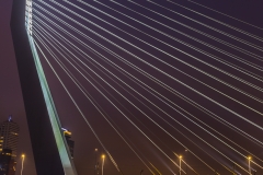 Rotterdam - Erasmusbrücke