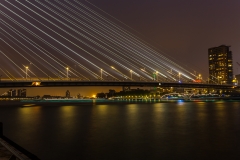 Rotterdam - Erasmusbrücke