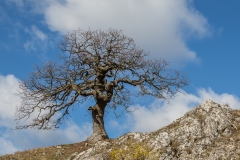 Tschechien - Pálava Protected Landscape Area