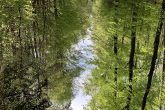52 Frames - Week 17 - Upside Down