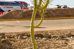 Von Calama nach San Pedro de Atacama - Chile