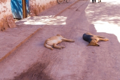 San Pedro de Atacama - Chile