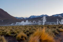 El Tatio - Chile
